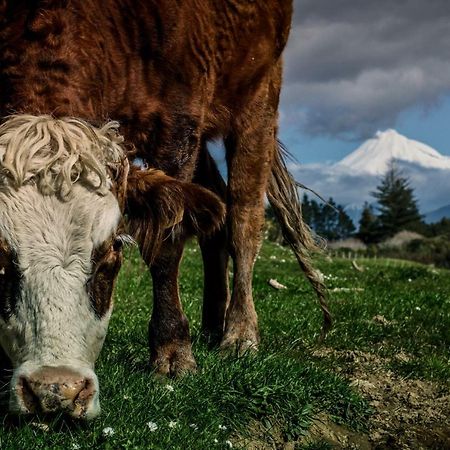 Country Retreat Glamping Hotell New Plymouth Exteriör bild