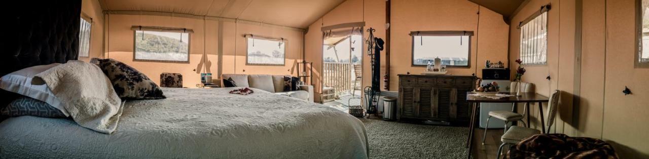 Country Retreat Glamping Hotell New Plymouth Exteriör bild