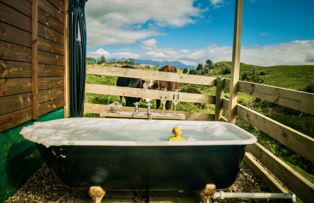 Country Retreat Glamping Hotell New Plymouth Exteriör bild