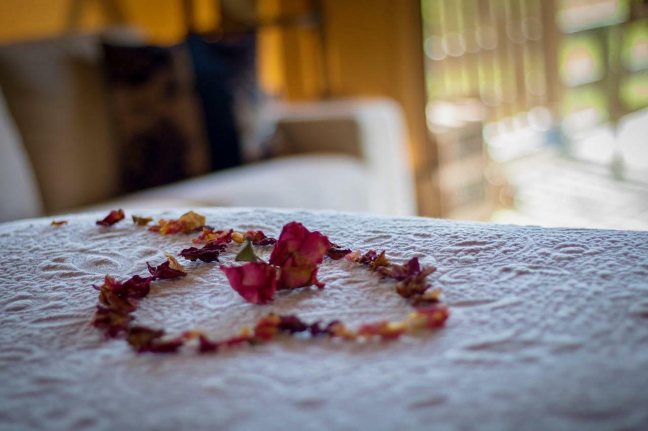 Country Retreat Glamping Hotell New Plymouth Exteriör bild